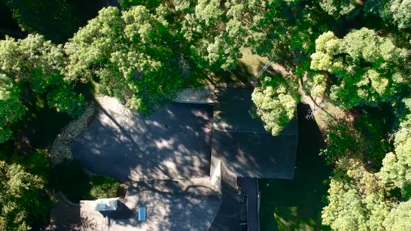 Trees and Suburban House Aerial View