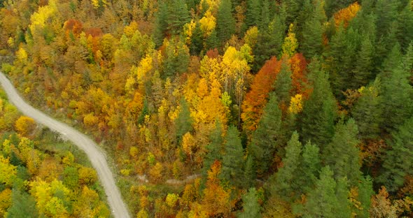 4K Aerial footage of mountain road in beautiful forest at sunset in autumn.