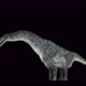 Titanosaurus Dinosaur 4K - VideoHive Item for Sale