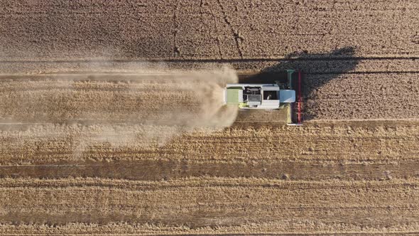 The Combine From Above