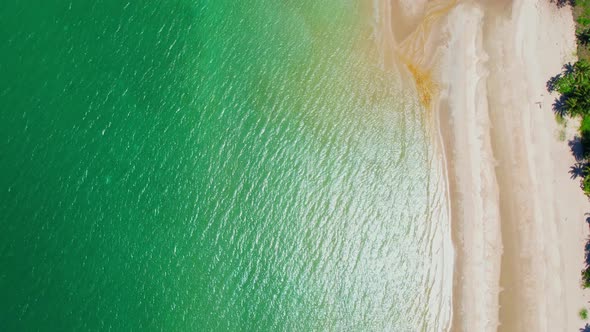 Drones are flying over beautiful beaches and seas alt