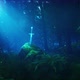 Excalibur Sword In A Fantasy Forest At Night 4K - VideoHive Item for Sale