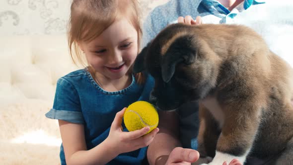 Girl holding out ball to puppy