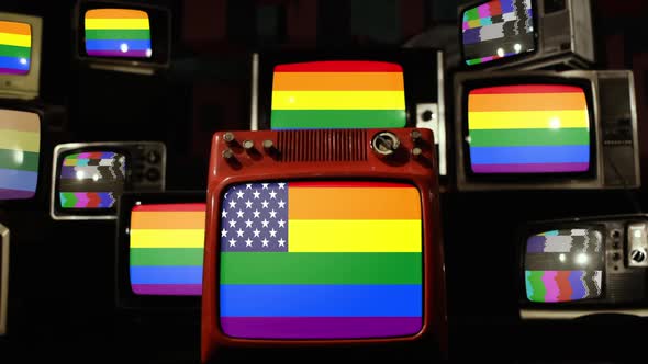 Rainbow Flag US Stars and Retro TVs. alt