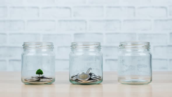Plant Growing in Money on glass jar is present to concept saving money. Stop motion