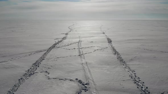 Gulf Finland Ice with Snow alt