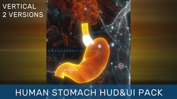 Human Stomach HUD UI Pack
