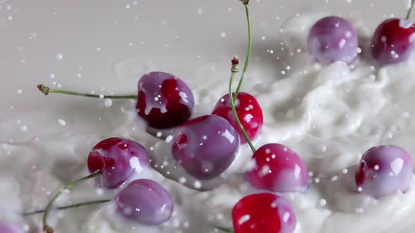 Several Sweet Cherry Berries Fall Into the Milk