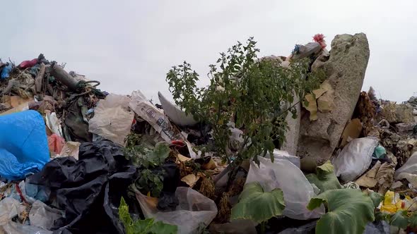 Ground Scattered Piles of Garbage