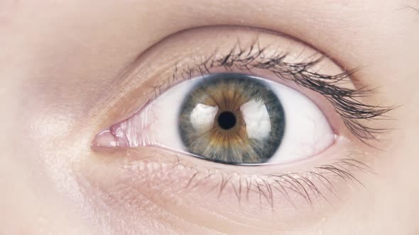 The Human Eye Opens and Blinks Close-up