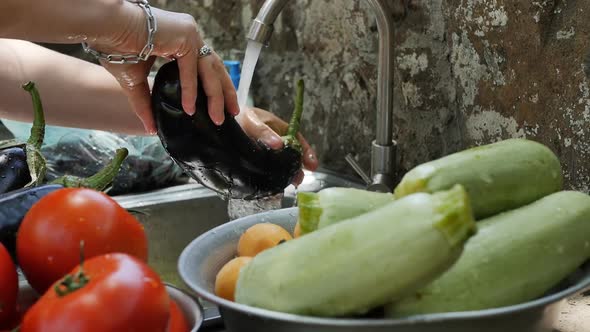 a Woman Cook Washes a Black Shiny Eggplant in a Stream of Water From a Tap and Puts the Vegetable in