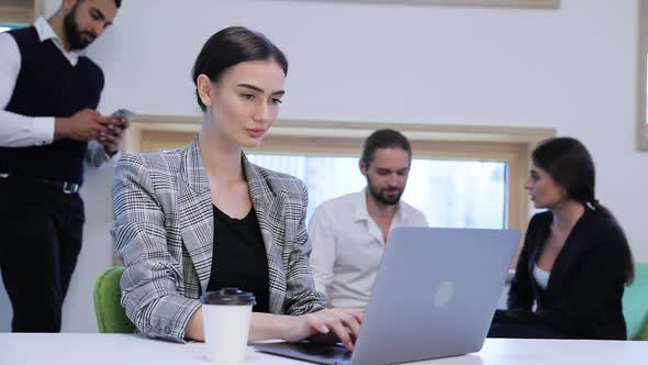 Business Woman Working On Computer In Office. Business People alt