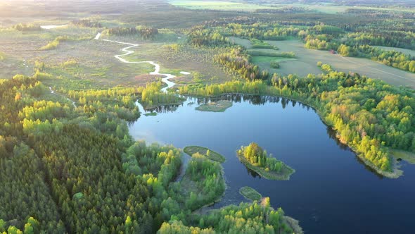 Green Trees Surrounding the Bogland in Ao Estonia alt