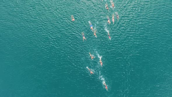 Aerial view of a group swimming at ocean water during competition, Croatia. alt