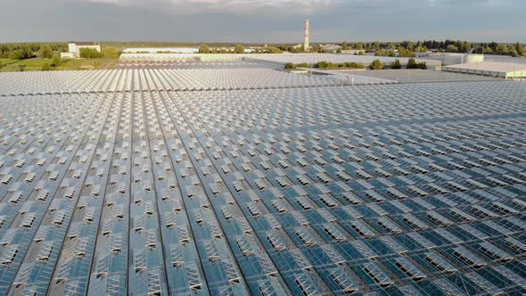 Top View of the Greenhouse alt