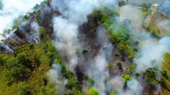 Aerial view of Rainforest deforestation, forest fire burning and smoking, in the Jungles of Mexico, alt