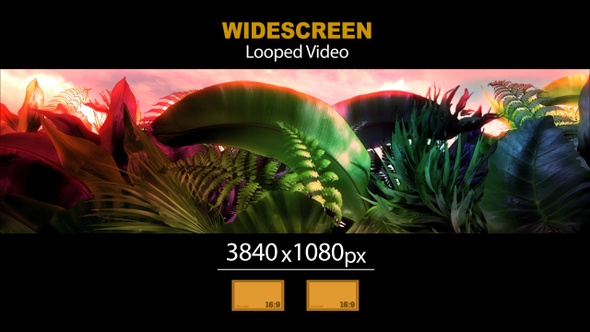 Widescreen Tropical Leaves 07