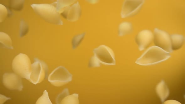 Pasta Conchiglie is Falling Diagonally on a Yellow Background alt