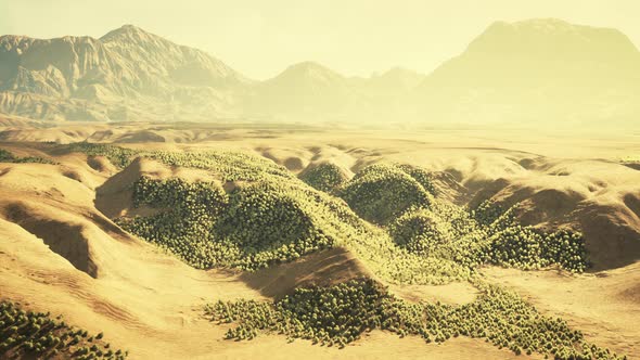 Aerial View of the Sahara Desert alt