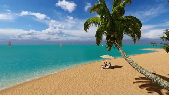 Palm And Tropical Beach