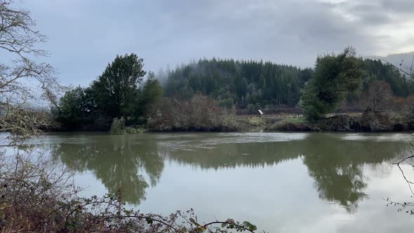 Coquille River in Southern Oregon. Trees reflect in water. Pacific Northwest scenery. Panning shot. alt