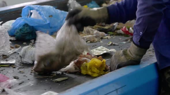 Workers at Conveyor Sorting Garbage at a Recycling Plant alt
