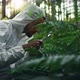 Naturalist Biologist Studies the Evolution of Plants in the Forest - VideoHive Item for Sale