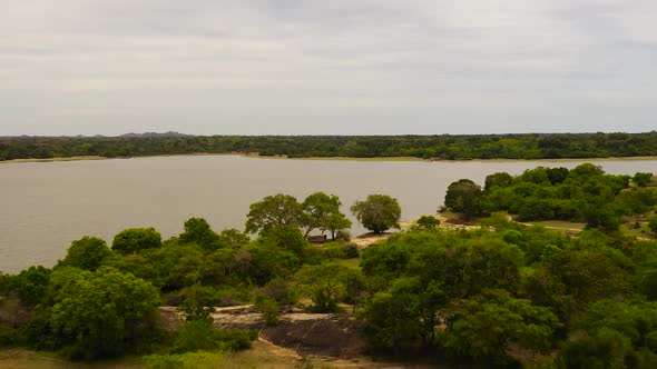A Lake in the Middle of the Jungle in Sri Lanka alt
