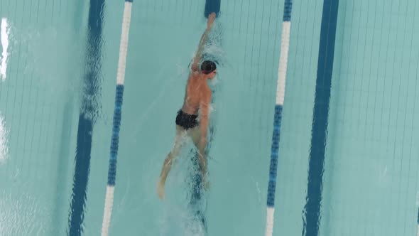 Young Athletic Man Swimmer Swims in the Pool Man Swimming and Training in the Water View From a alt