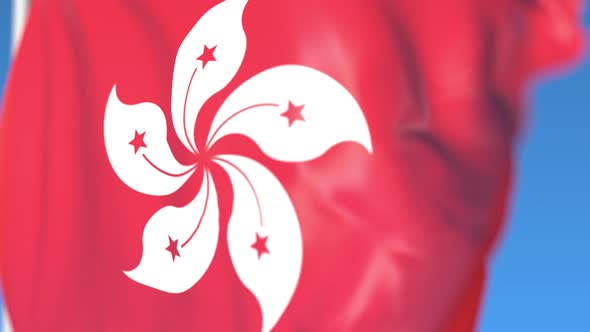 Waving National Flag of Hong Kong alt