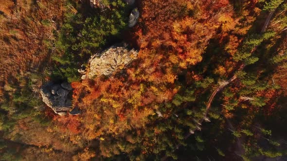 Aerial fly over Belogradchik forest in autumn, Bulgaria alt
