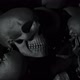 Skulls Background Loop - VideoHive Item for Sale