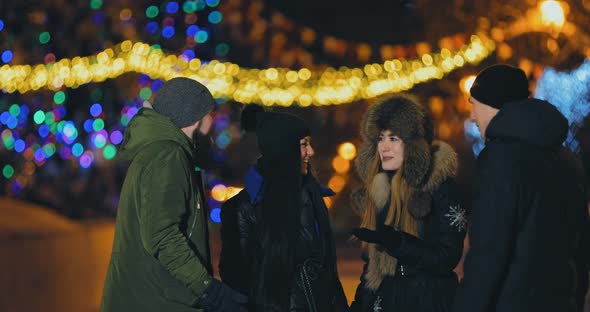 Young and Beautiful Girls with Guys Communicate in the Park in Winter alt