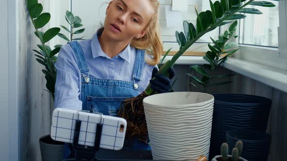 Gardener Woman Blogger Using Phone While Transplants Indoor Plants and Use a Shovel on Table alt