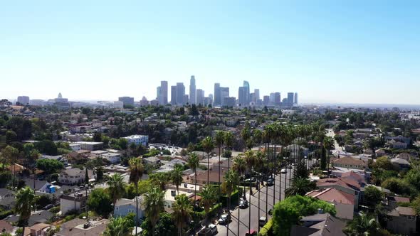 Beautiful drone shot from a neighborhood of Los Angeles, California showing palm trees and the city alt