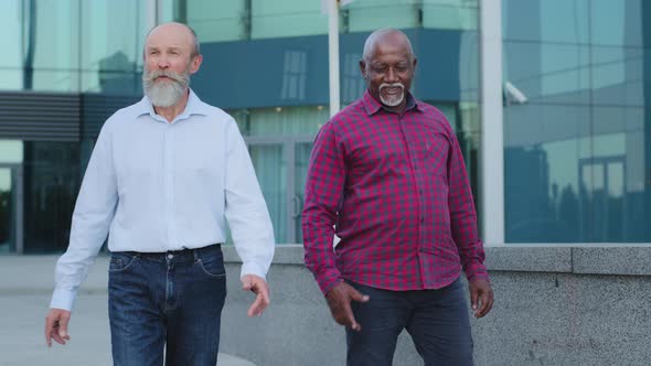 Elderly European Caucasian Man with Gray Beard Meets Old African Friend or Colleague Has Interesting alt