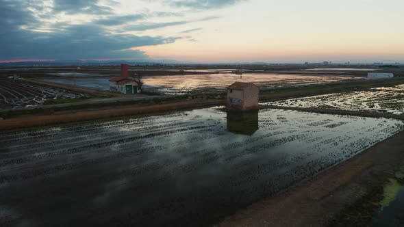 Aerial View of Rice Fields, Flocks of Birds and Agricultural Machinery During Sunset on Lake