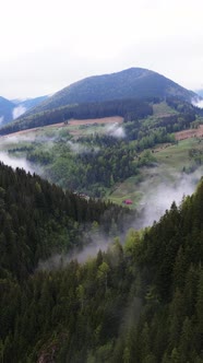 Carpathian Mountains alt