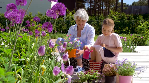 Grandmother and Girl Planting Flowers at Garden  alt