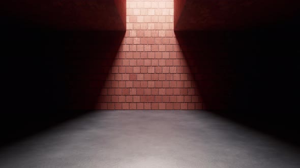 Empty room with brick wall alt