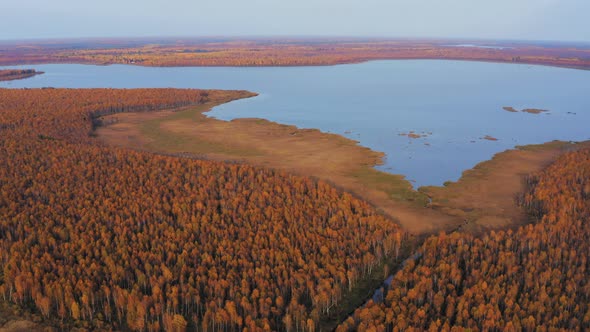 Aerial Top View of Beautiful Lake Surrounded By Colorful Forest in Autumn