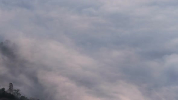 Mystery Fog Moving alt