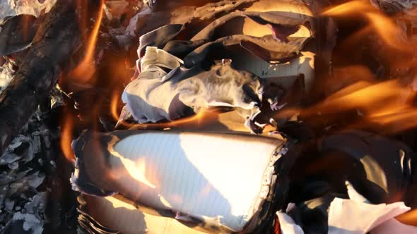 Paper Books Burn in Closeup Fire