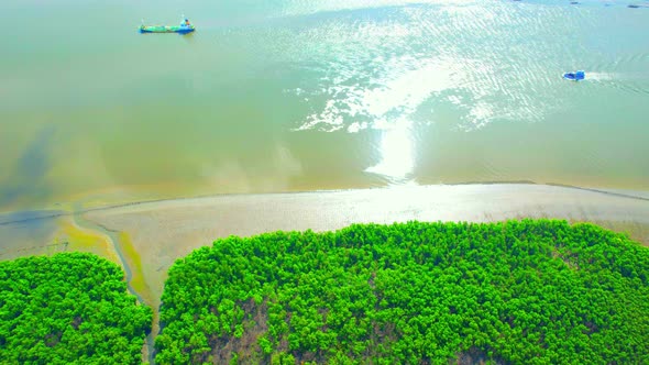 4K : Aerial view over beautiful mangrove forest alt