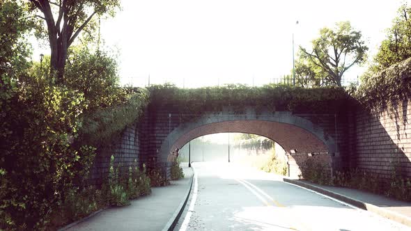 Arch Bridge with Living Bush Branches in Park alt