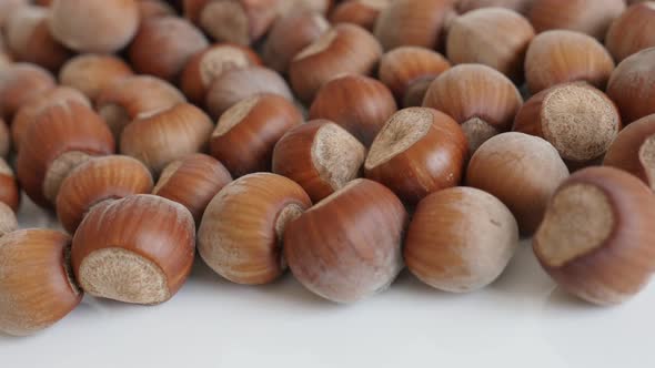 Hazelnuts on white background close-up 4K 2160p 30fps UltraHD panning footage - Nuts of Corylus avel alt