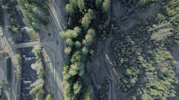 Top down aerial above evergreen forest with road and river passing through alt