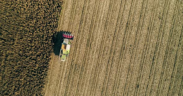 Combine Harvester Coming Back From Harvesting Corn Aerial Drone Shot Agriculture 02