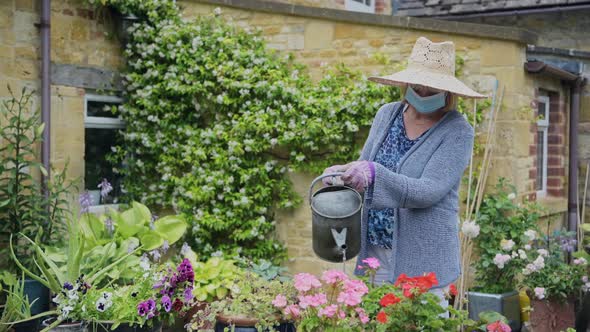 Adult woman watering her garden, gardening during coronavirus pandemic lockdown and wearing face mas alt