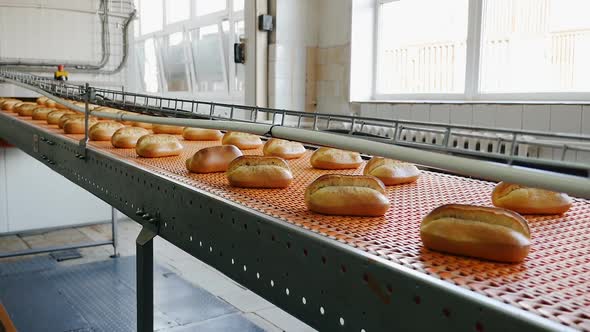 Readymade Bread in the Sorting Shop